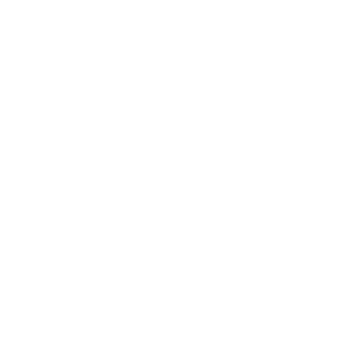 Logo Blanc de Skyline Web avec Fusée